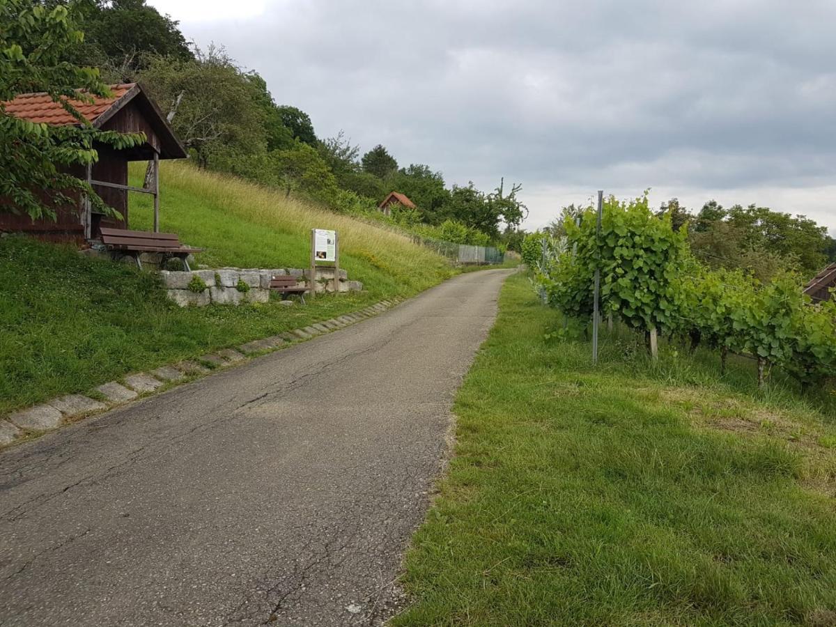 Frickenhausen  Ferienwohnung Burgblick Im Neuffener Tal Mit Sauna Und Wallbox מראה חיצוני תמונה