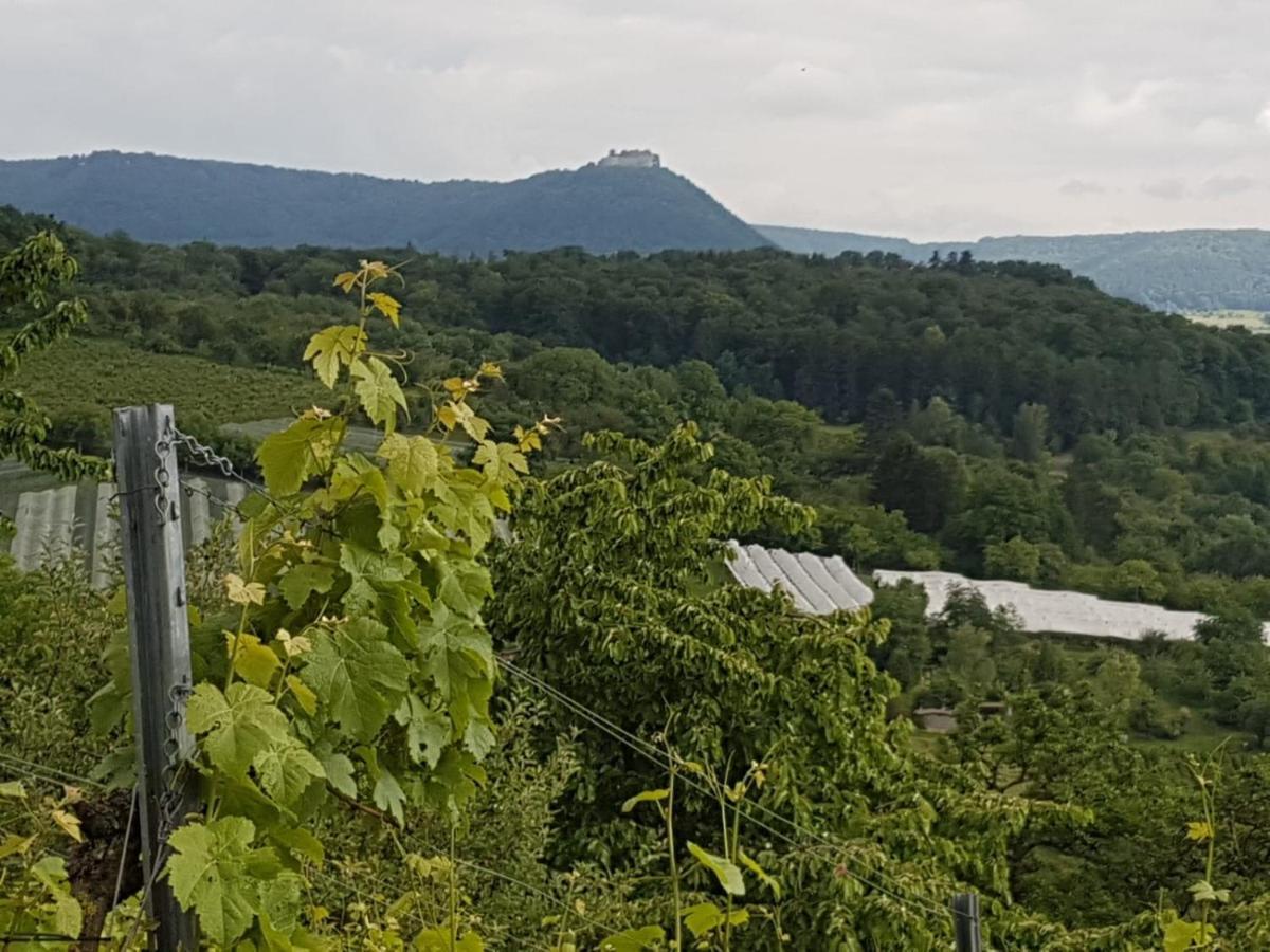 Frickenhausen  Ferienwohnung Burgblick Im Neuffener Tal Mit Sauna Und Wallbox מראה חיצוני תמונה