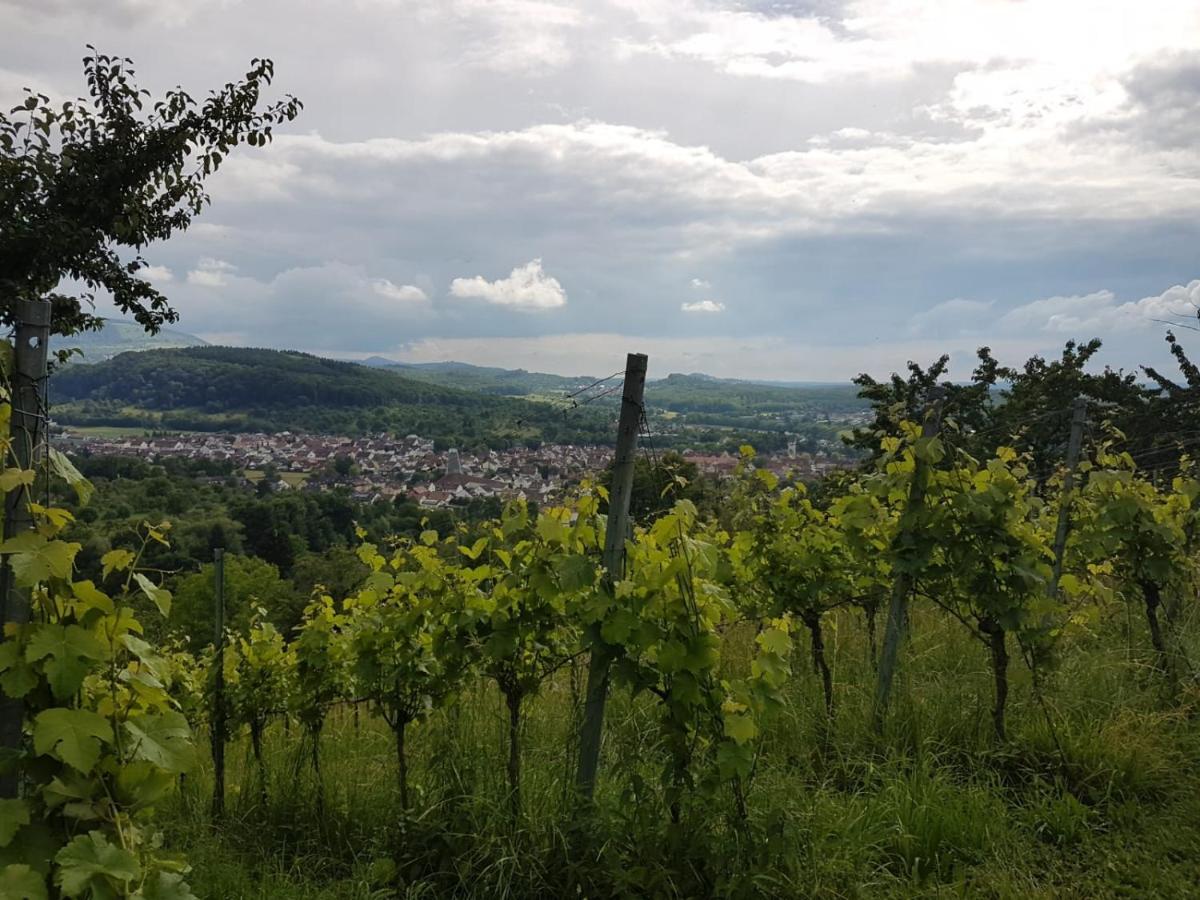 Frickenhausen  Ferienwohnung Burgblick Im Neuffener Tal Mit Sauna Und Wallbox מראה חיצוני תמונה